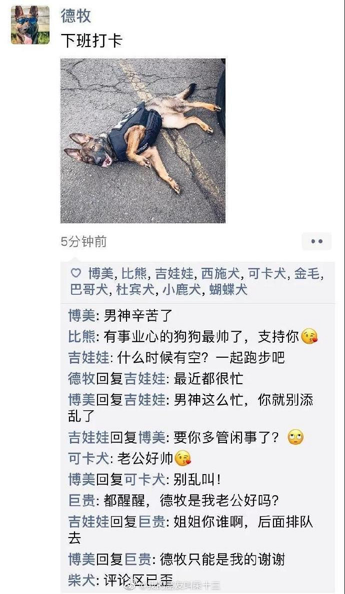 凌晨三点，狗狗突然发了条朋友圈...