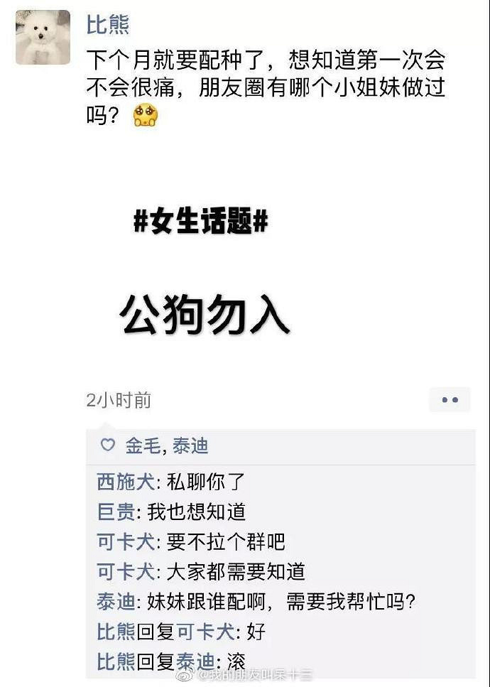 凌晨三点，狗狗突然发了条朋友圈...