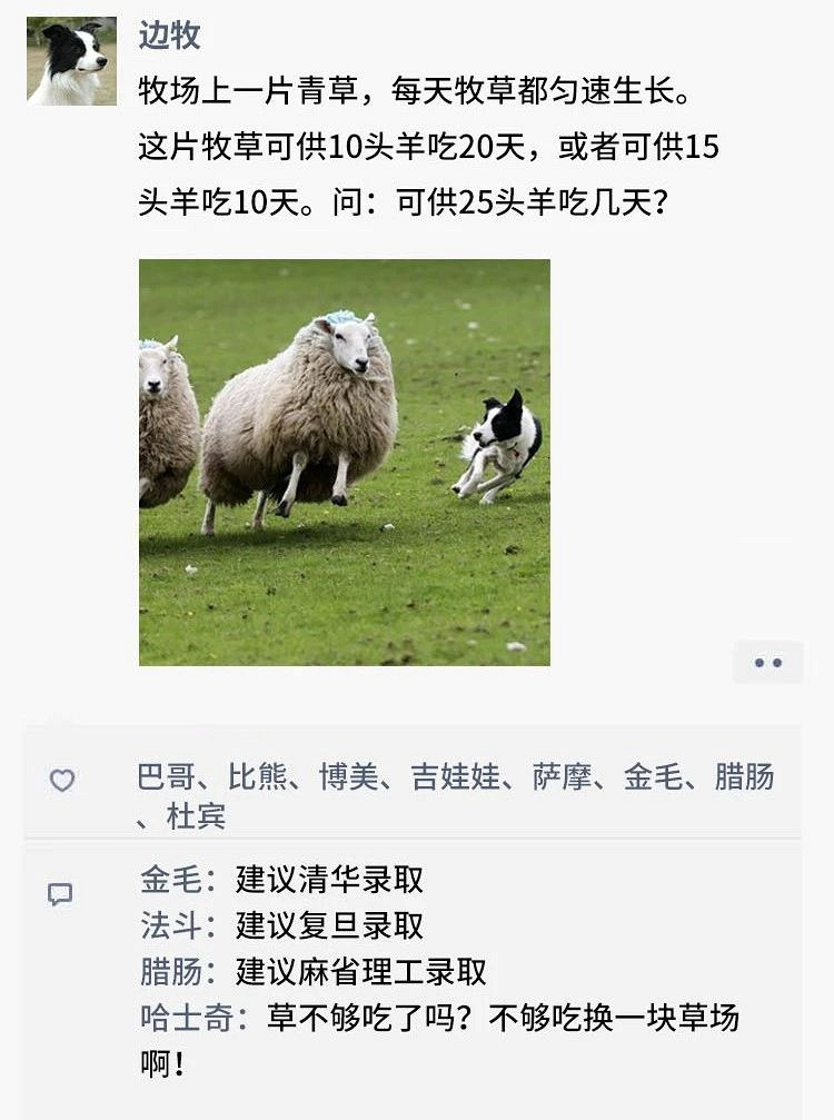 凌晨三点，狗狗突然发了条朋友圈...