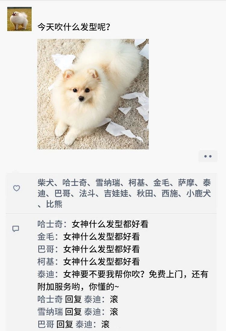 凌晨三点，狗狗突然发了条朋友圈...