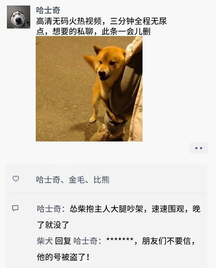 凌晨三点，狗狗突然发了条朋友圈...