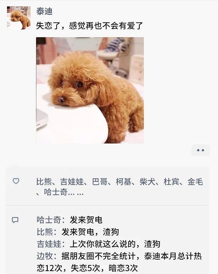 凌晨三点，狗狗突然发了条朋友圈...