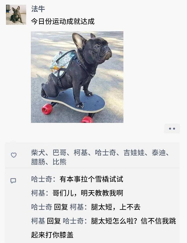 凌晨三点，狗狗突然发了条朋友圈...