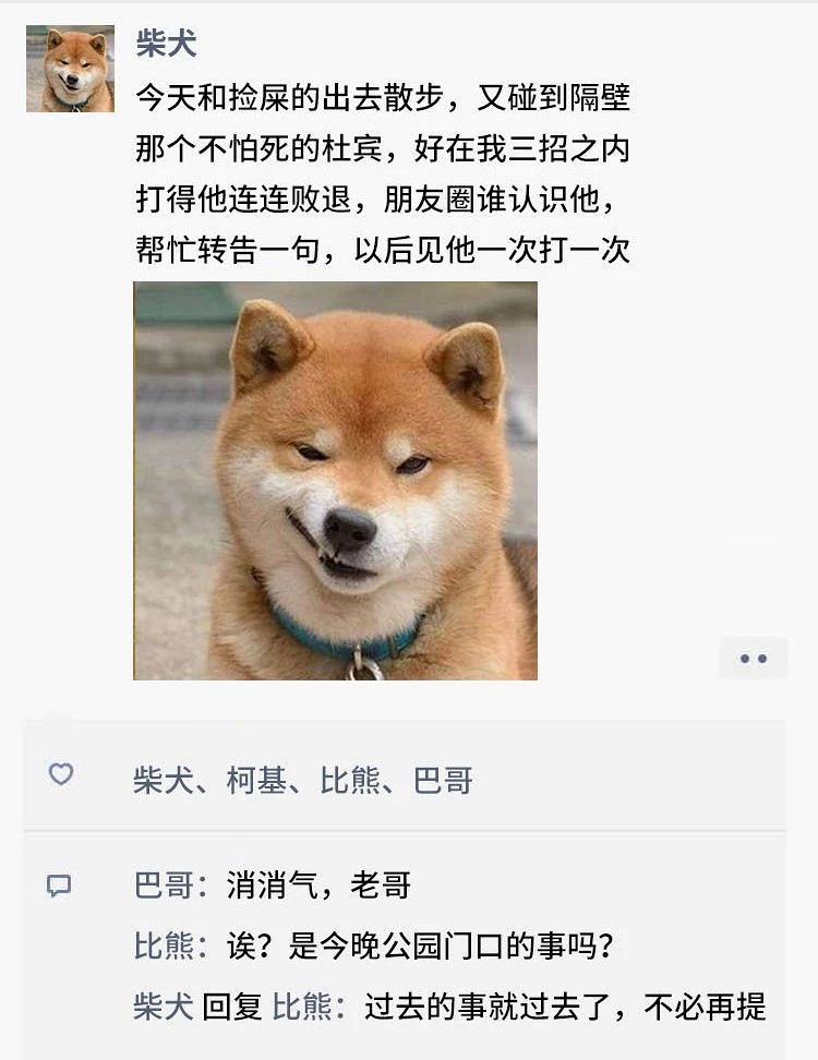 凌晨三点，狗狗突然发了条朋友圈...