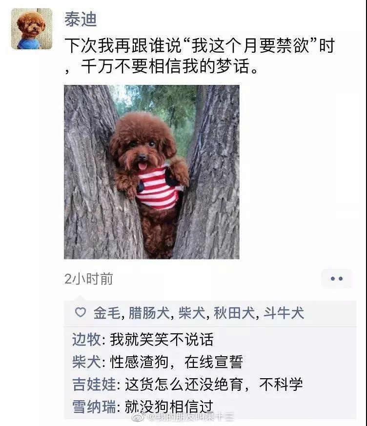 凌晨三点，狗狗突然发了条朋友圈...