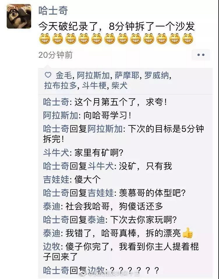 凌晨三点，狗狗突然发了条朋友圈...
