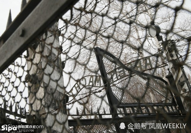 集中营是在造福犹太人?电影《元首赐予犹太人