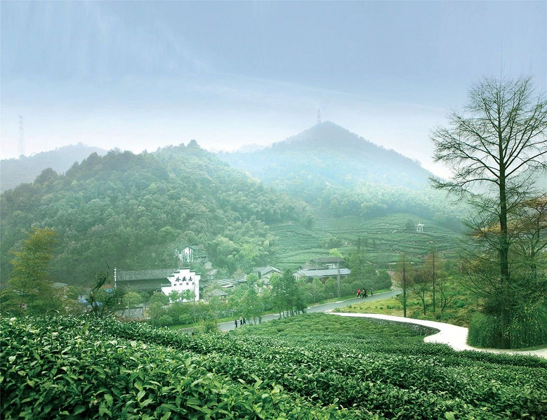 西湖区,你怎么这么好看!