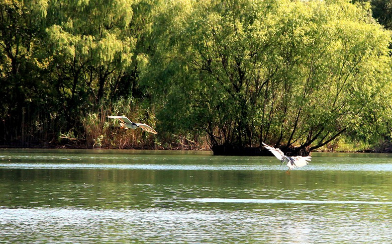 西湖区,你怎么这么好看!