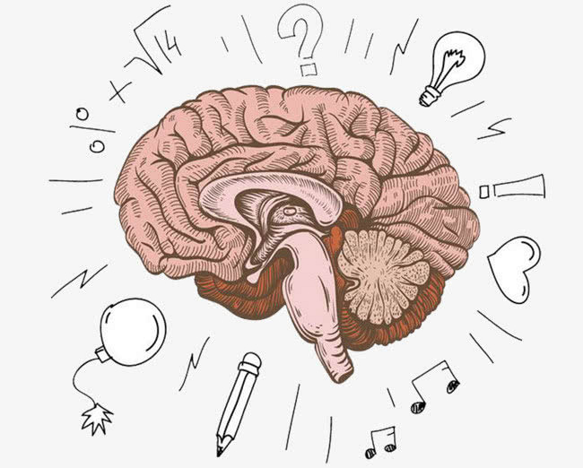 人类大脑被神秘力量限制,只能开发10%?科学家