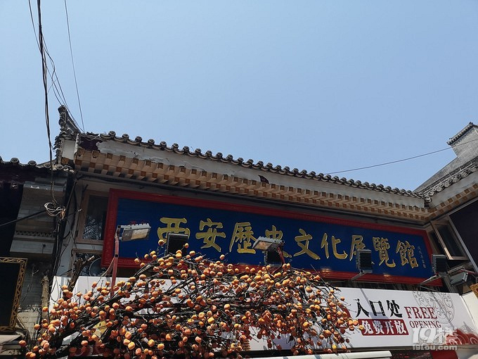 夏日出行，梦回大唐