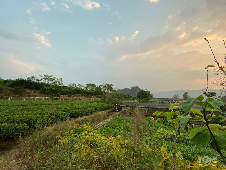 【带娃回老家】+满满的快乐和收获