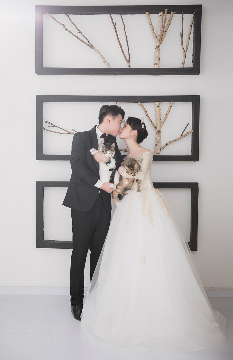 看完這些情侶和貓的結婚照,我想立刻原地結婚!