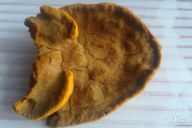 桑黄怎么吃，桑黄简单食用方法