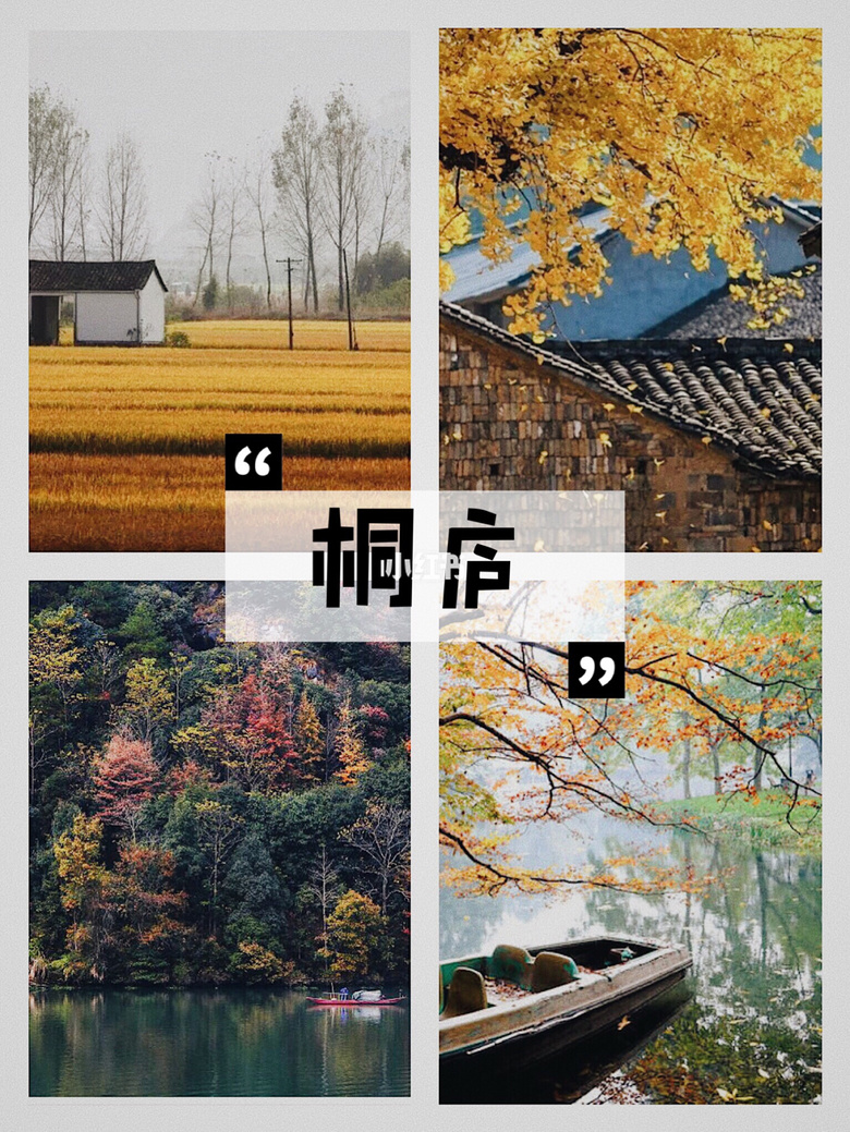 湥@l_ȺС·޺ϼ