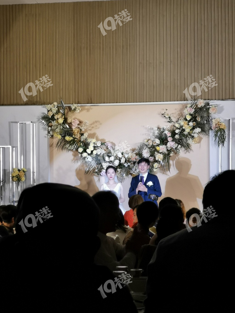 一個畫家（沈一帆）終于結(jié)婚了恭喜恭喜