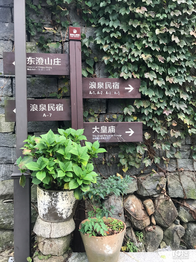 【萌娃秋游啦】+西溪湿地+东澄古村(有梯田哦)+四明山景区