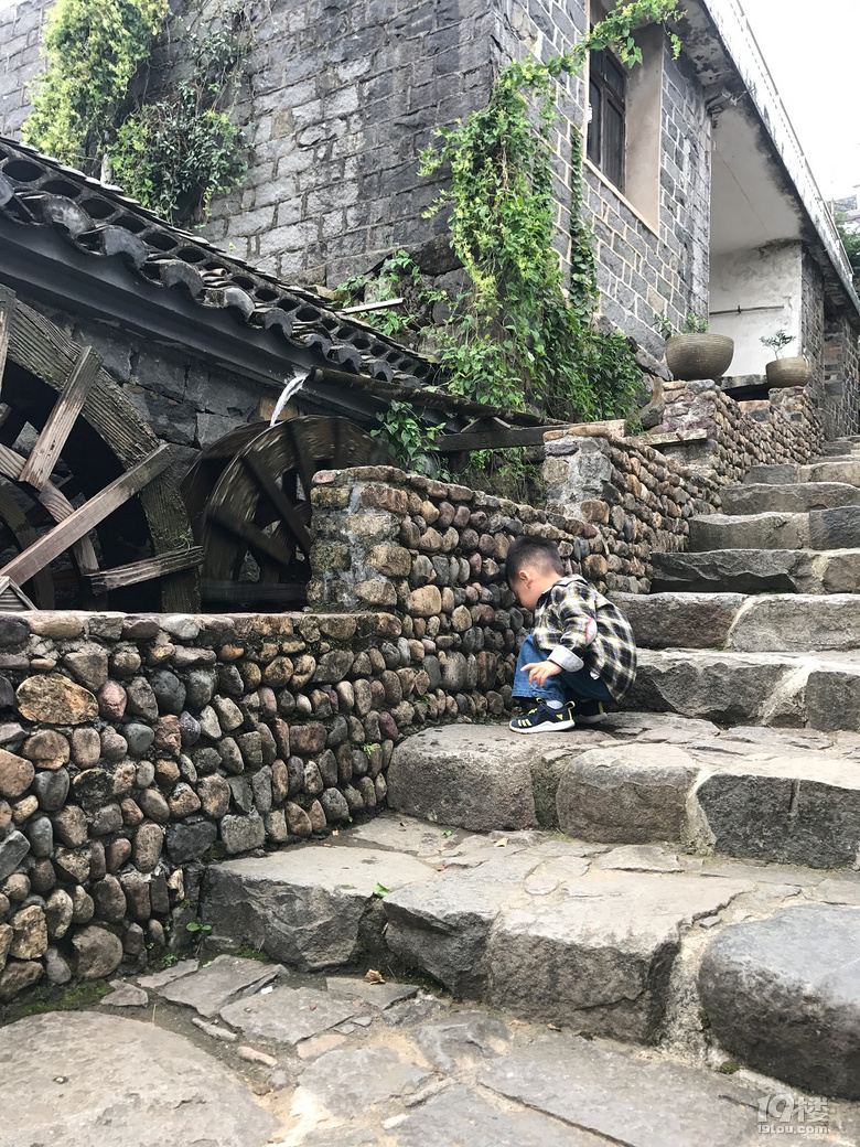 【萌娃秋游啦】+西溪湿地+东澄古村(有梯田哦)+四明山景区