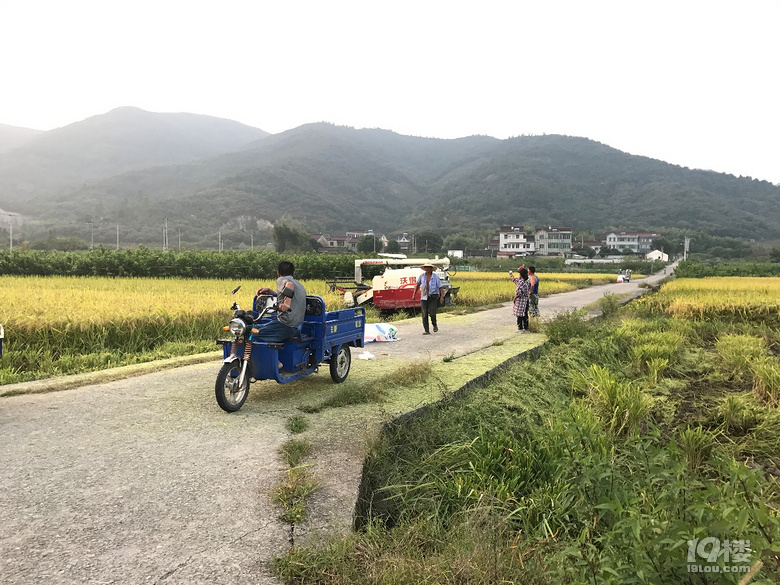 【萌娃秋游啦】+西溪湿地+东澄古村(有梯田哦)+四明山景区