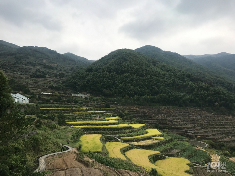 【萌娃秋游啦】+西溪湿地+东澄古村(有梯田哦)+四明山景区
