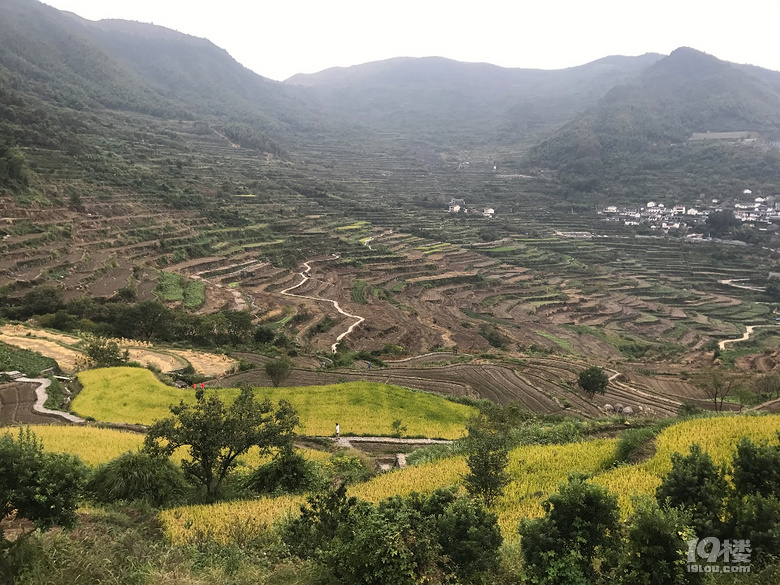【萌娃秋游啦】+西溪湿地+东澄古村(有梯田哦)+四明山景区