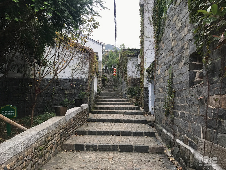 【萌娃秋游啦】+西溪湿地+东澄古村(有梯田哦)+四明山景区