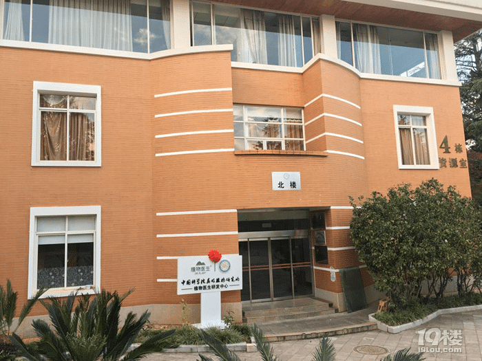 植物医生好不好,植物医生×陈伟霆 25周年生日