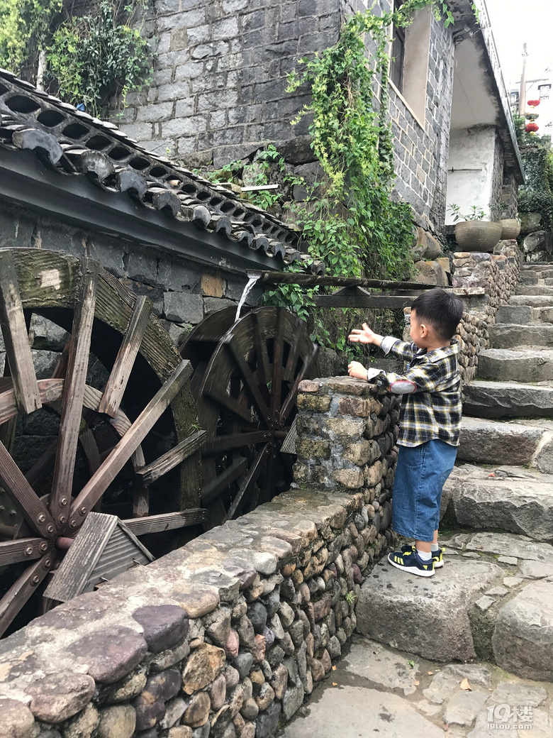 【萌娃秋游啦】+西溪湿地+东澄古村（有梯田哦）+四明山景区