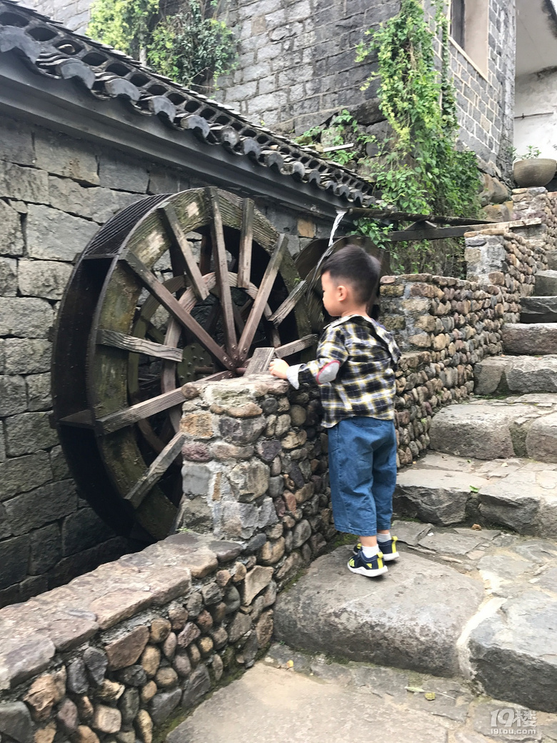 【萌娃秋游啦】+西溪湿地+东澄古村（有梯田哦）+四明山景区