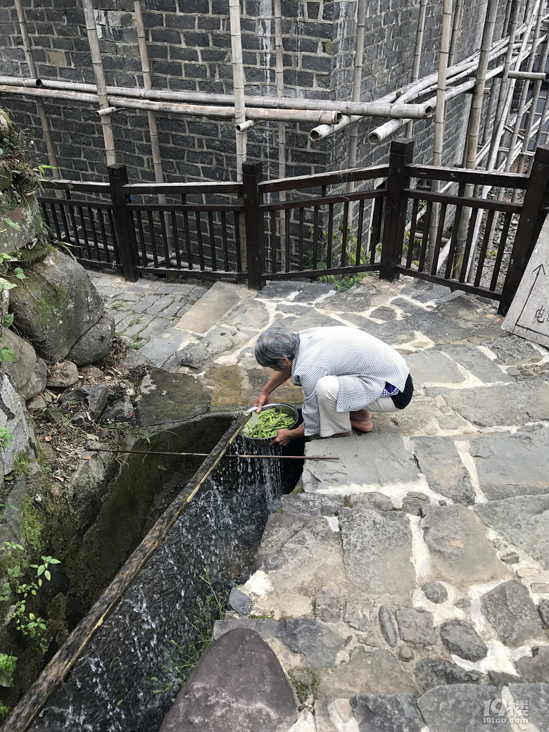 【萌娃秋游啦】+西溪湿地+东澄古村（有梯田哦）+四明山景区