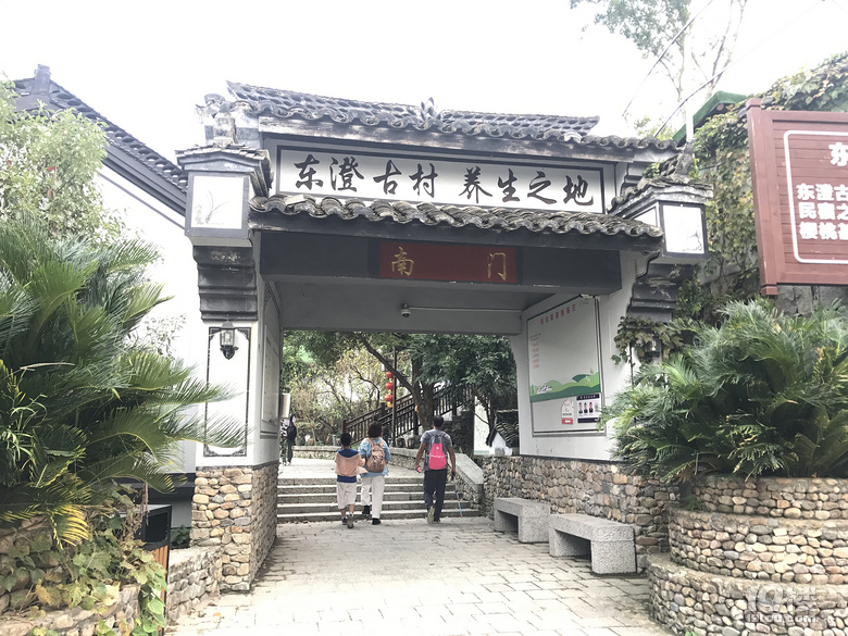 【萌娃秋游啦】+西溪湿地+东澄古村（有梯田哦）+四明山景区