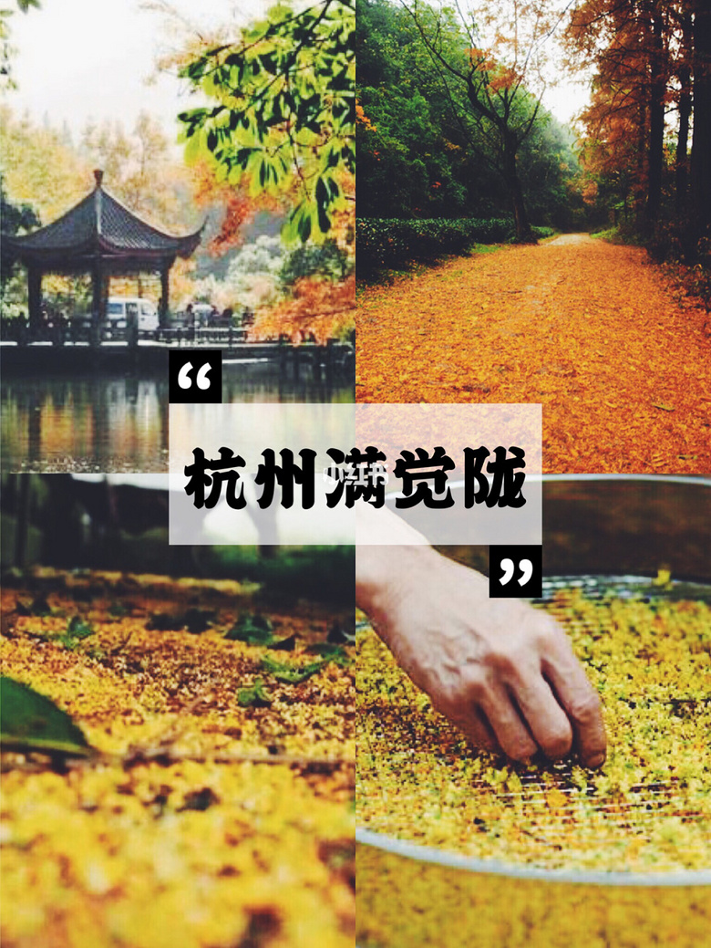 杭州賞秋攻略