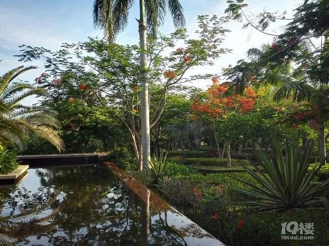 春节假期去海南三亚必看的旅游攻略