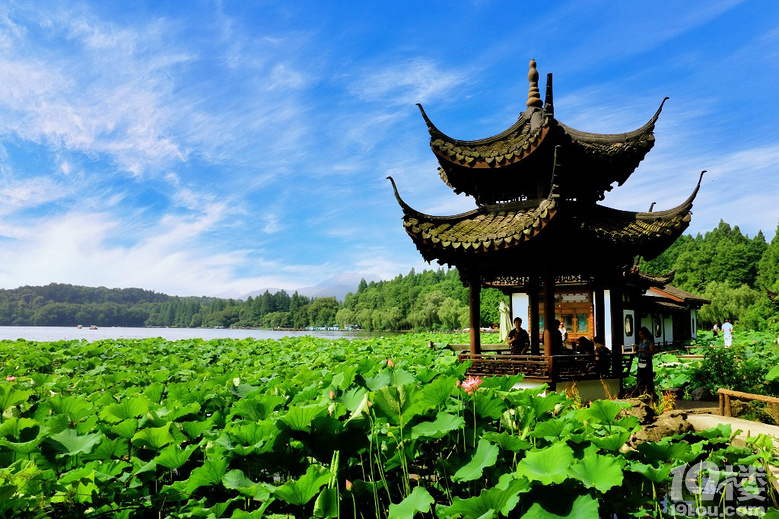 楼主发表于: 2019-11-16 20:192011丹枫阅读数:758|回复数:1