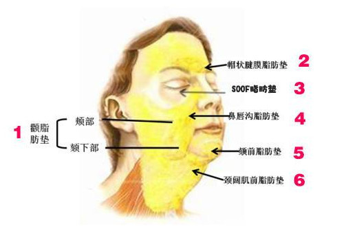 67岁的她因整形无数次被网友diss为何不能优雅的老去,本尊