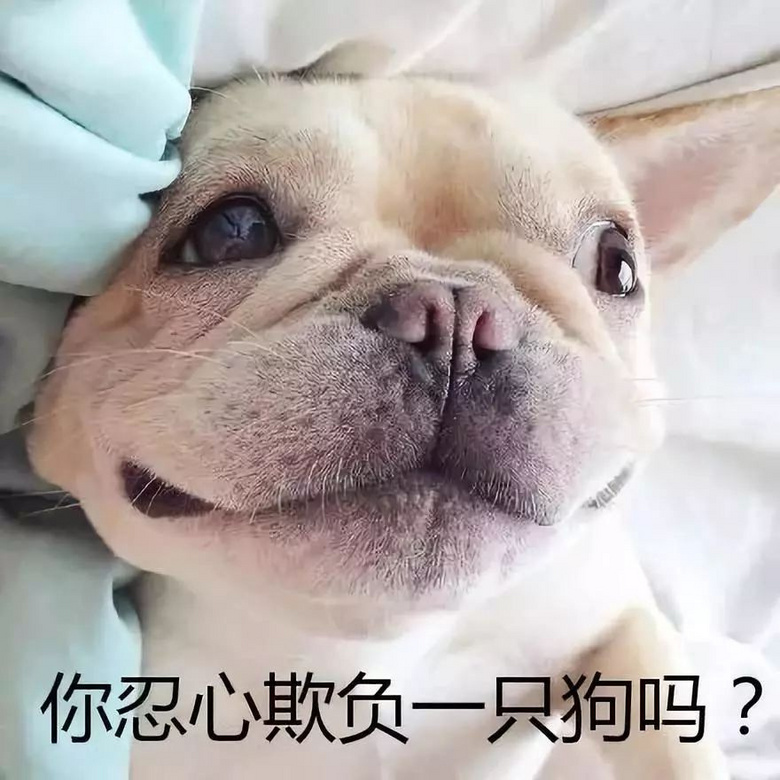 法斗是丑萌界的代表?这句话我不同意!