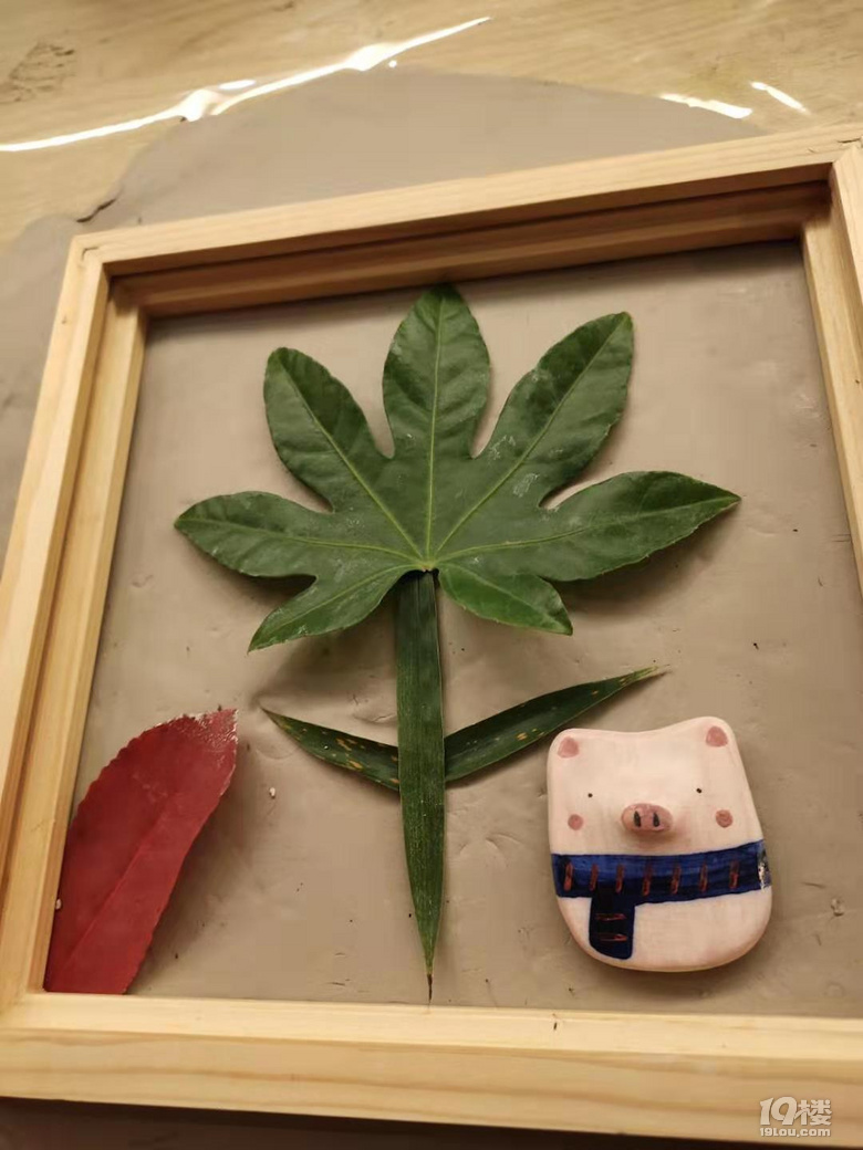 溜娃--植物浮雕畫體驗
