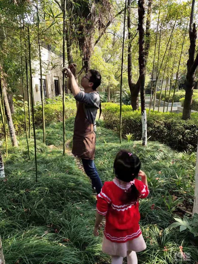 溜娃--植物浮雕畫體驗