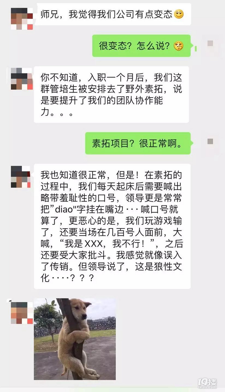 喊口號(hào),學(xué)狗爬···請警惕「狼性文化」的公司!