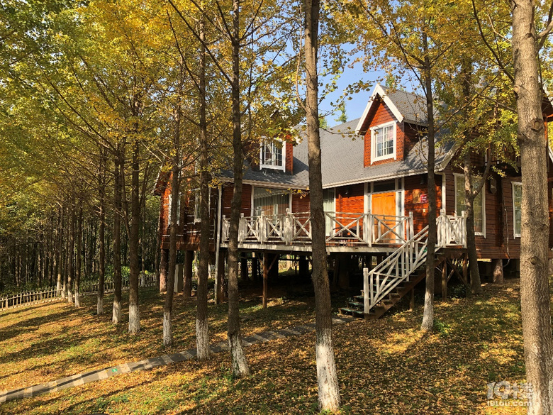 杭州吃喝玩乐年会好地方