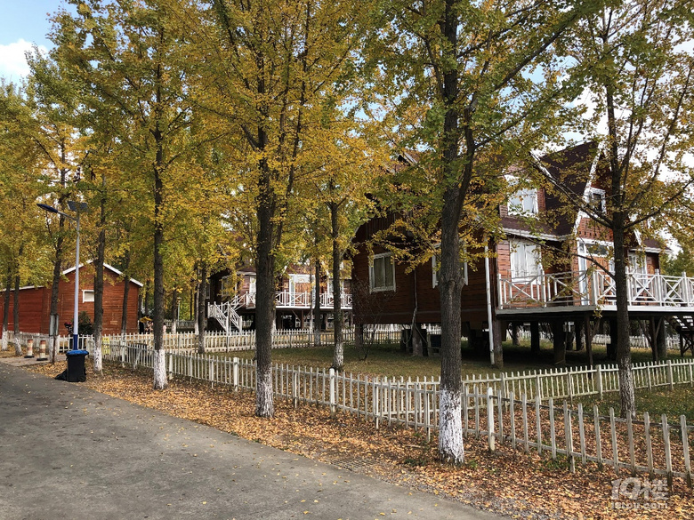 杭州吃喝玩乐年会好地方