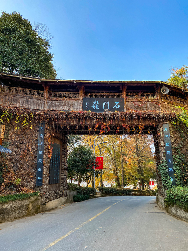 杭州·富阳区·新登镇·湘溪村,银杏和时光交错的梦幻.