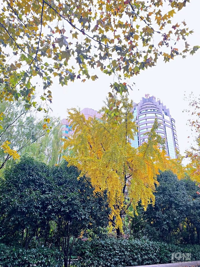 小塔儿巷和大塔儿巷