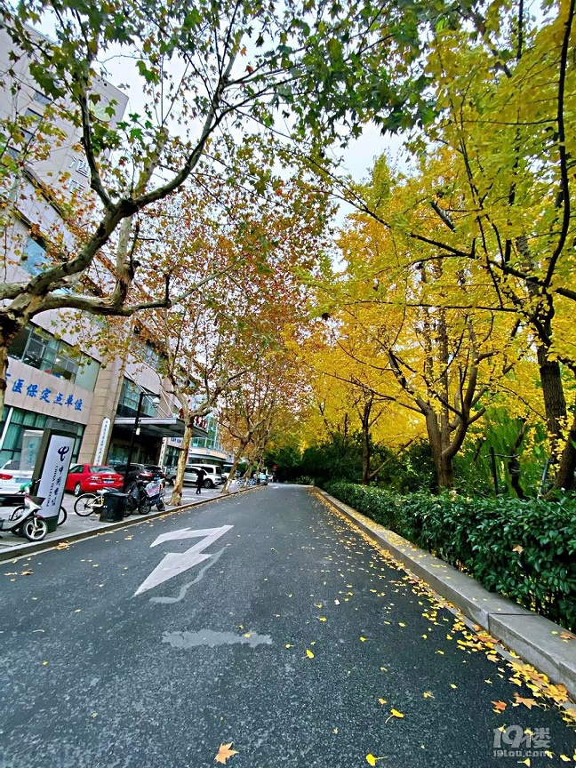 小塔儿巷和大塔儿巷