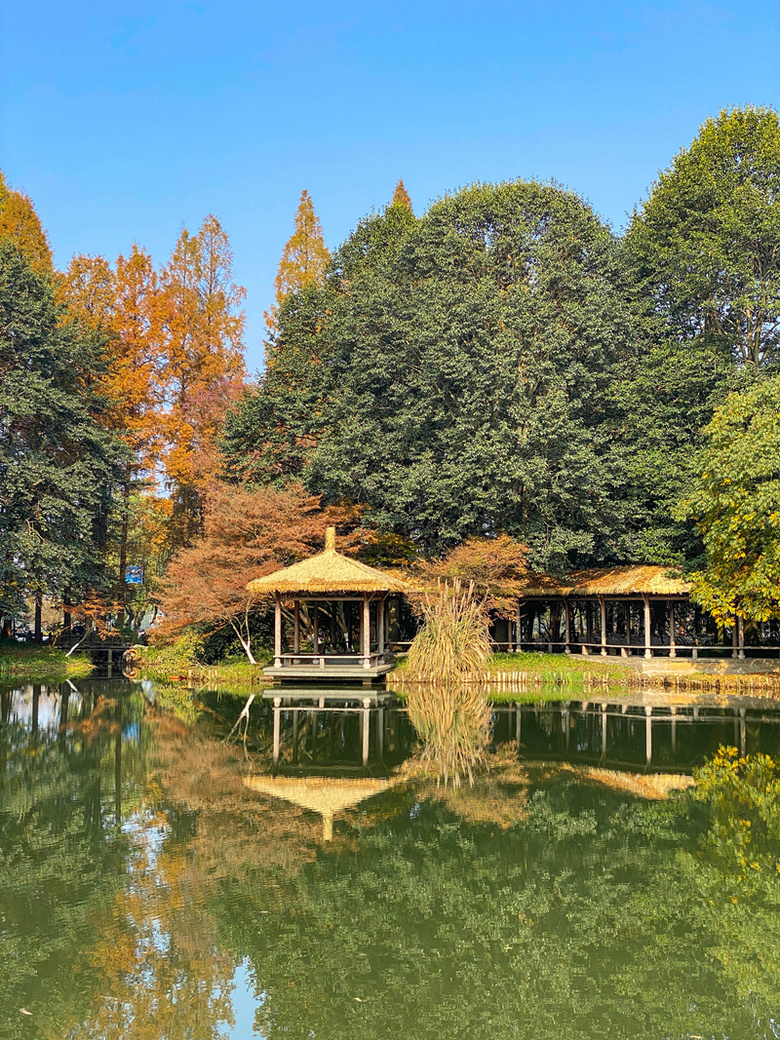 杭州·西湖区·太子湾公园初冬色彩
