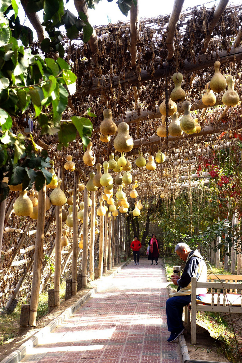 千年核桃王公园