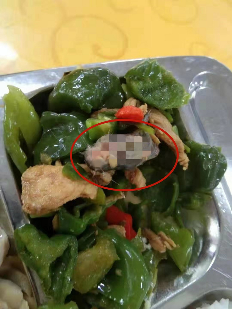 学校被曝食堂饭菜吃出一整只画面不忍直视!