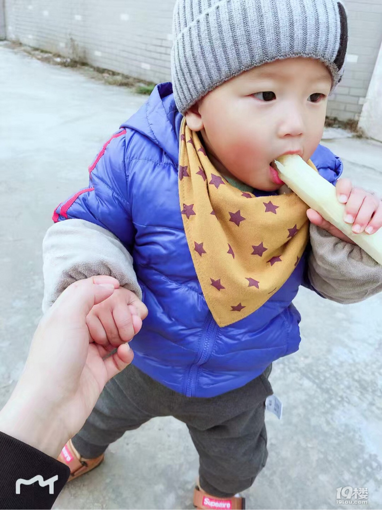 【寶寶的2019】不可錯過的每個成長瞬間