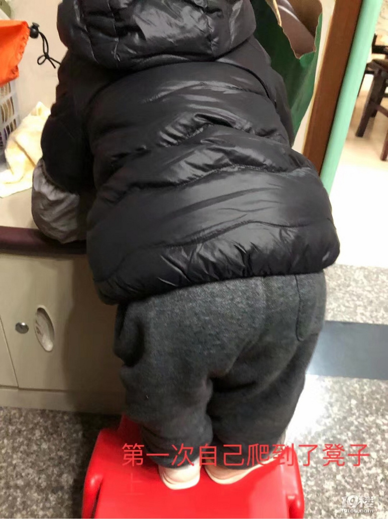 【寶寶的2019】不可錯過的每個成長瞬間