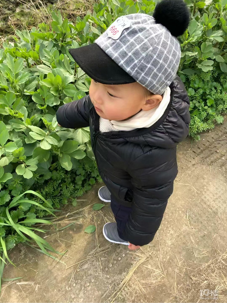 【寶寶的2019】不可錯過的每個成長瞬間
